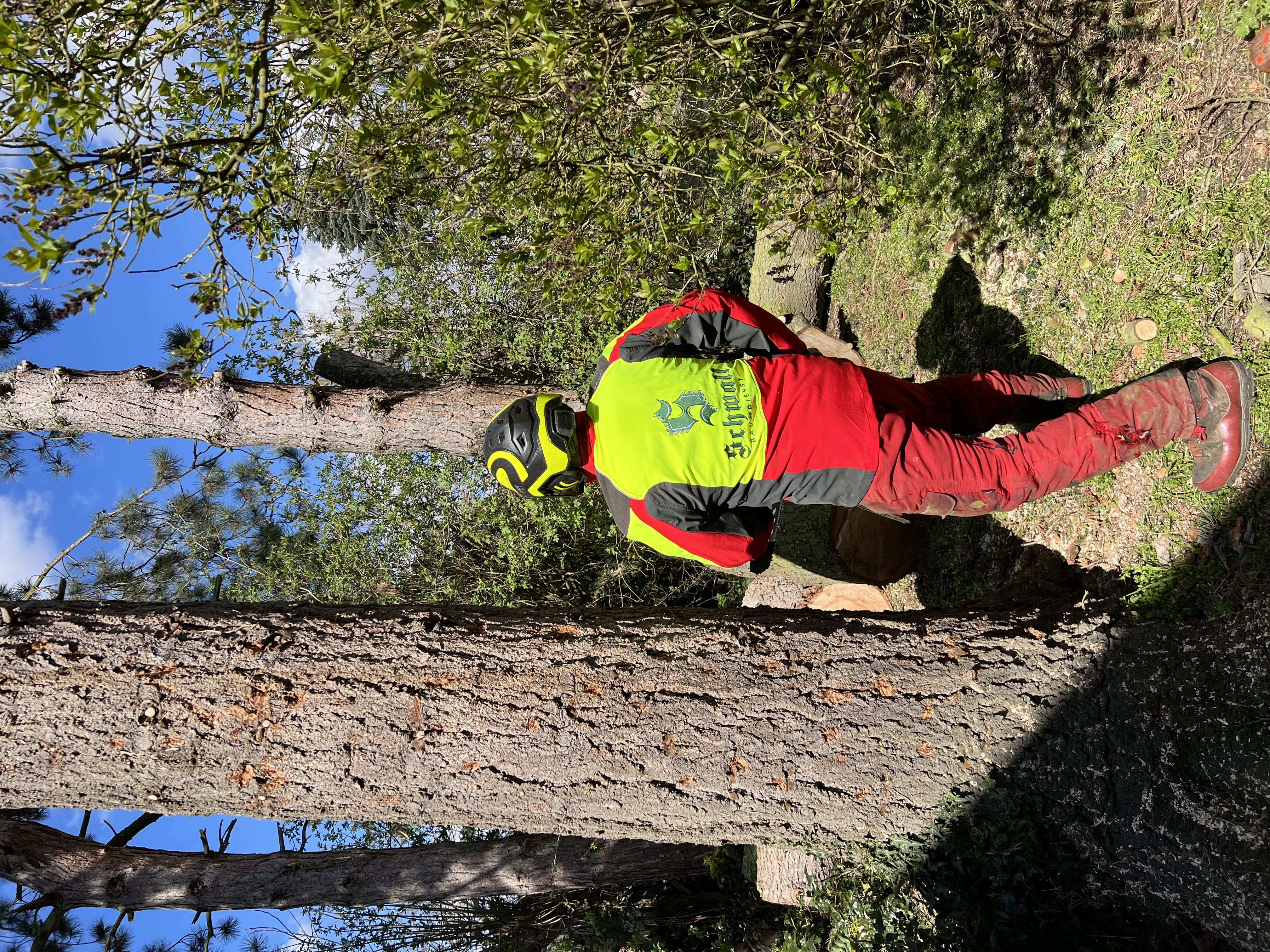 Baumdienst Schwall bei der Holzaufarbeitung